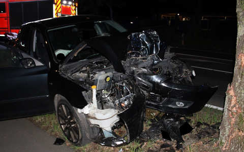 POL-MI: Pkw wird von Baum gestoppt - Foto: presseportal.de