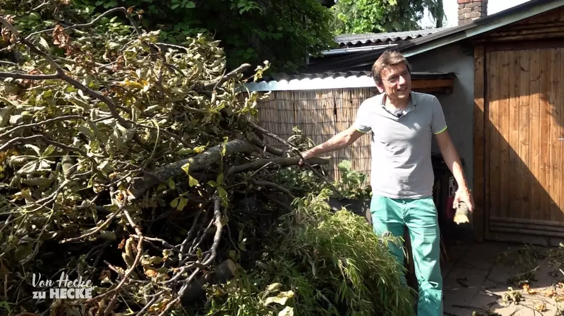 Diese Woche bei Von Hecke zu Hecke - Bunte Beetgeschichten: Sturmtief sorgt für Verwüstung in der Kleingartenanlage Berlin-Bornholm - Bild: presseportal.de
