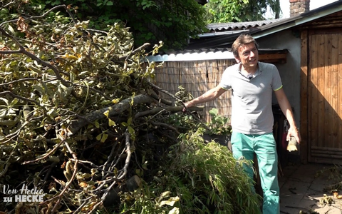 Diese Woche bei Von Hecke zu Hecke - Bunte Beetgeschichten: Sturmtief sorgt für Verwüstung in der Kleingartenanlage Berlin-Bornholm - Foto: presseportal.de