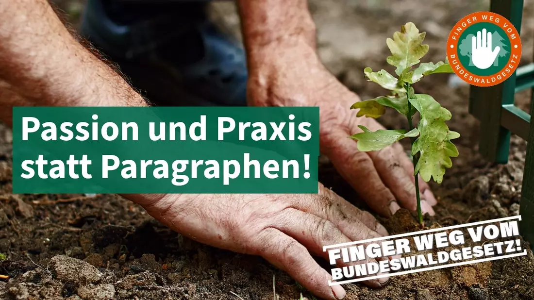 Praxisfern, bürokratisch, verfassungswidrig: Neues Waldgesetz gefährdet Klimaziele und Erhalt nachhaltiger Bewirtschaftung / Waldverbände starten gemeinsame Kampagne gegen Entwurf der Bundesregierung - Bild: presseportal.de