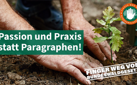 Praxisfern, bürokratisch, verfassungswidrig: Neues Waldgesetz gefährdet Klimaziele und Erhalt nachhaltiger Bewirtschaftung / Waldverbände starten gemeinsame Kampagne gegen Entwurf der Bundesregierung - Foto: presseportal.de