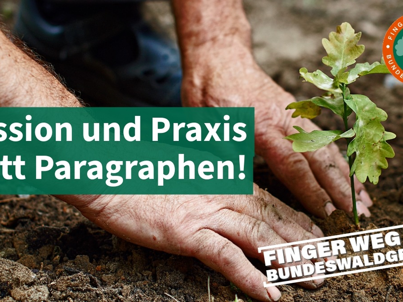 Praxisfern, bürokratisch, verfassungswidrig: Neues Waldgesetz gefährdet Klimaziele und Erhalt nachhaltiger Bewirtschaftung / Waldverbände starten gemeinsame Kampagne gegen Entwurf der Bundesregierung - Foto: presseportal.de