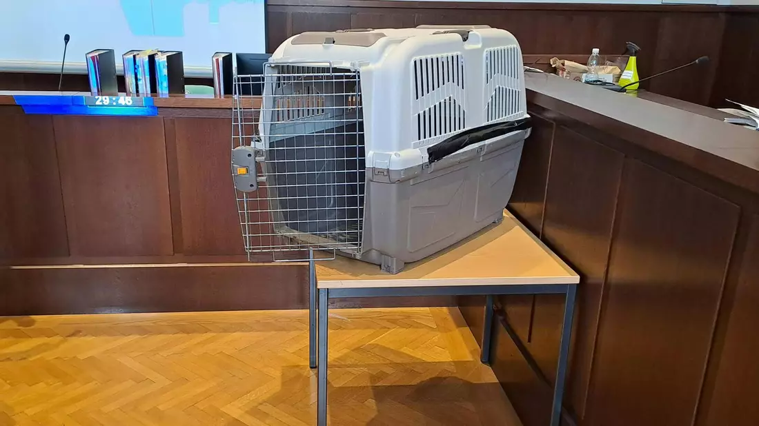 Die Mutter sperrte das Kind mehrfach für Stunden in eine Hundebox. - Bild: Christopher Eckl/APA/dpa