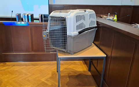 Die Mutter sperrte das Kind mehrfach für Stunden in eine Hundebox. - Foto: Christopher Eckl/APA/dpa