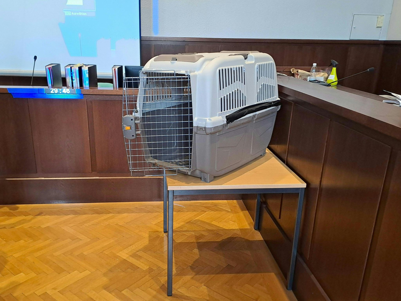 Die Mutter sperrte das Kind mehrfach für Stunden in eine Hundebox. - Foto: Christopher Eckl/APA/dpa