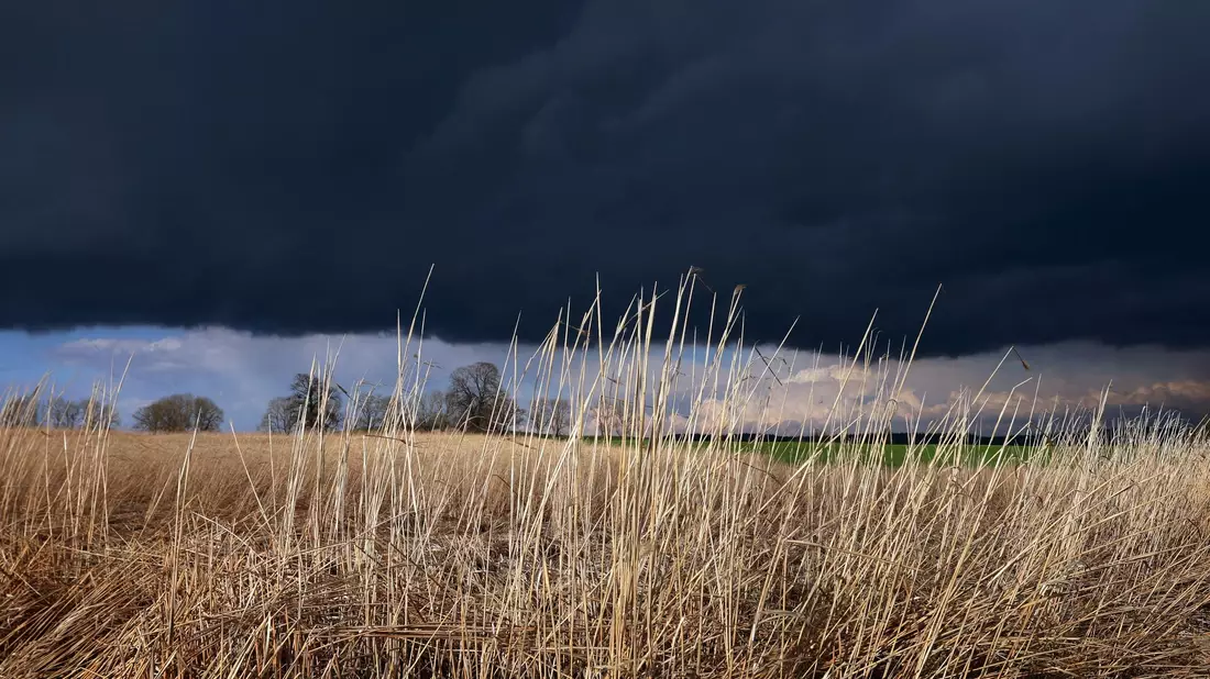 Gewitterwolken ziehen über ein Feld: Das Wetter am Abend ist durchwachsen. - Bild: Karl-Josef Hildenbrand/dpa