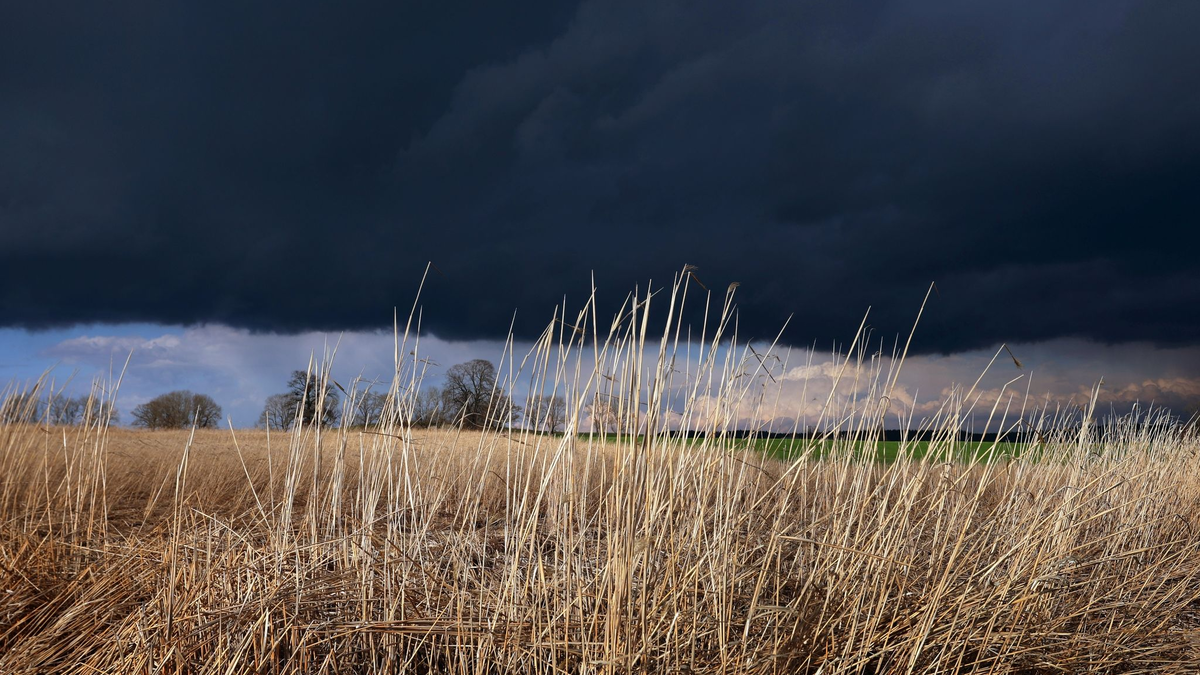 Gewitterwolken ziehen über ein Feld: Das Wetter am Abend ist durchwachsen. - Foto: Karl-Josef Hildenbrand/dpa
