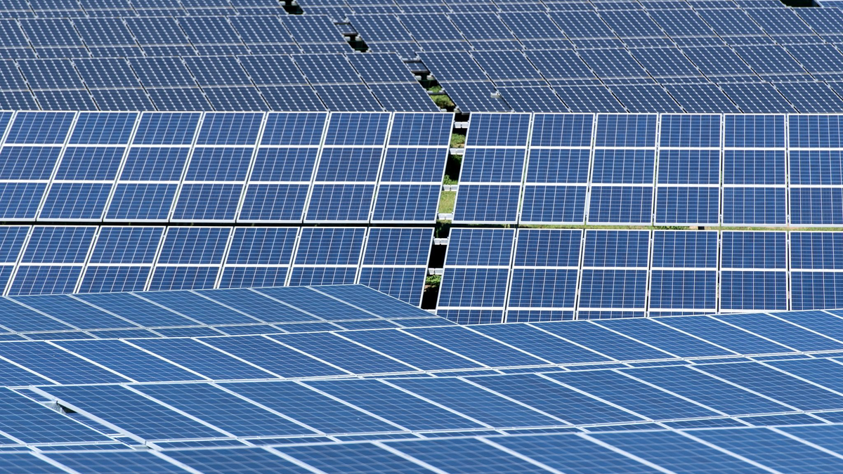 Die Solarenergie ist die am schnellsten wachsende erneuerbare Energiequelle in der EU. Allerdings kommt der Großteil der in Europa nachgefragten Solarmodule aus China. - Foto: Sven Hoppe/dpa