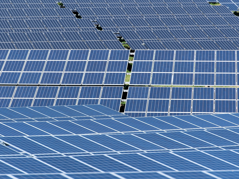 Die Solarenergie ist die am schnellsten wachsende erneuerbare Energiequelle in der EU. Allerdings kommt der Großteil der in Europa nachgefragten Solarmodule aus China. - Foto: Sven Hoppe/dpa