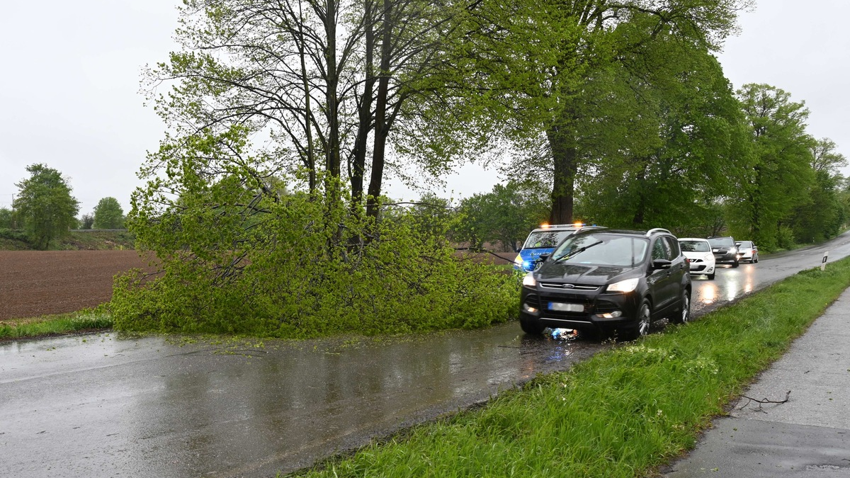 FW Pulheim: Sturmeinsätze beschäftigten die Feuerwehr - Foto: presseportal.de