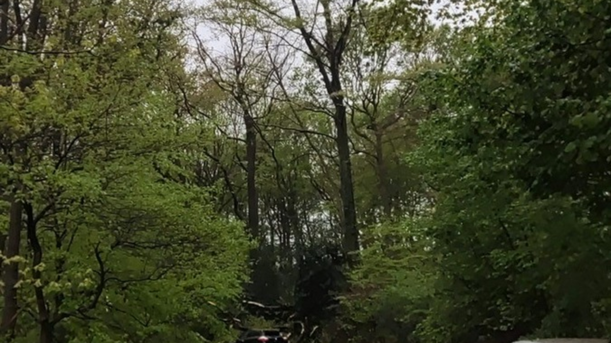 FW Dinslaken: Unwetter bschäftigt die Feuerwehr bis zum Abend - Foto: presseportal.de