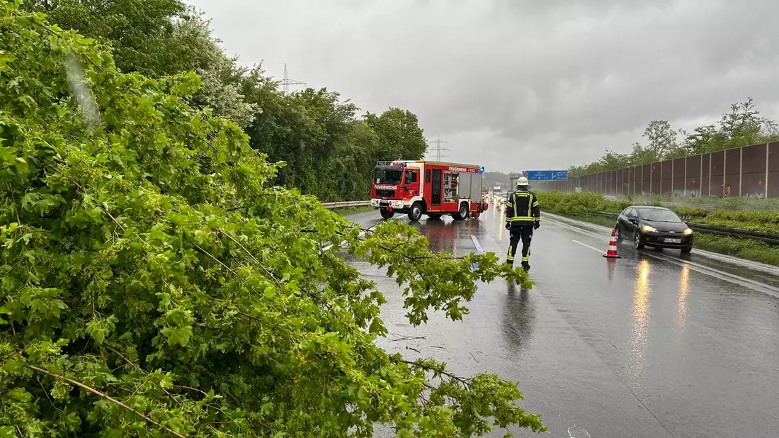 FW-Lohmar: Mehrere wetterbedingte Einsätze nach starken Windböen - Bild: presseportal.de