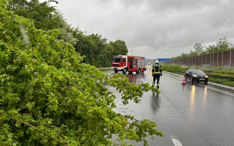 FW-Lohmar: Mehrere wetterbedingte Einsätze nach starken Windböen - Foto: presseportal.de