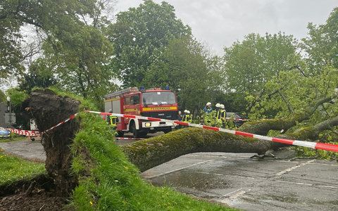 BPOL-H: Glückliches Ende an der Bahnstrecke in Elze; Bundespolizisten aus Hildesheim retten entlaufenden Hund - Foto: presseportal.de