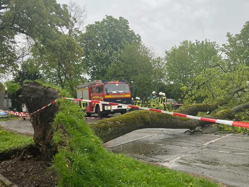 BPOL-H: Glückliches Ende an der Bahnstrecke in Elze; Bundespolizisten aus Hildesheim retten entlaufenden Hund - Foto: presseportal.de