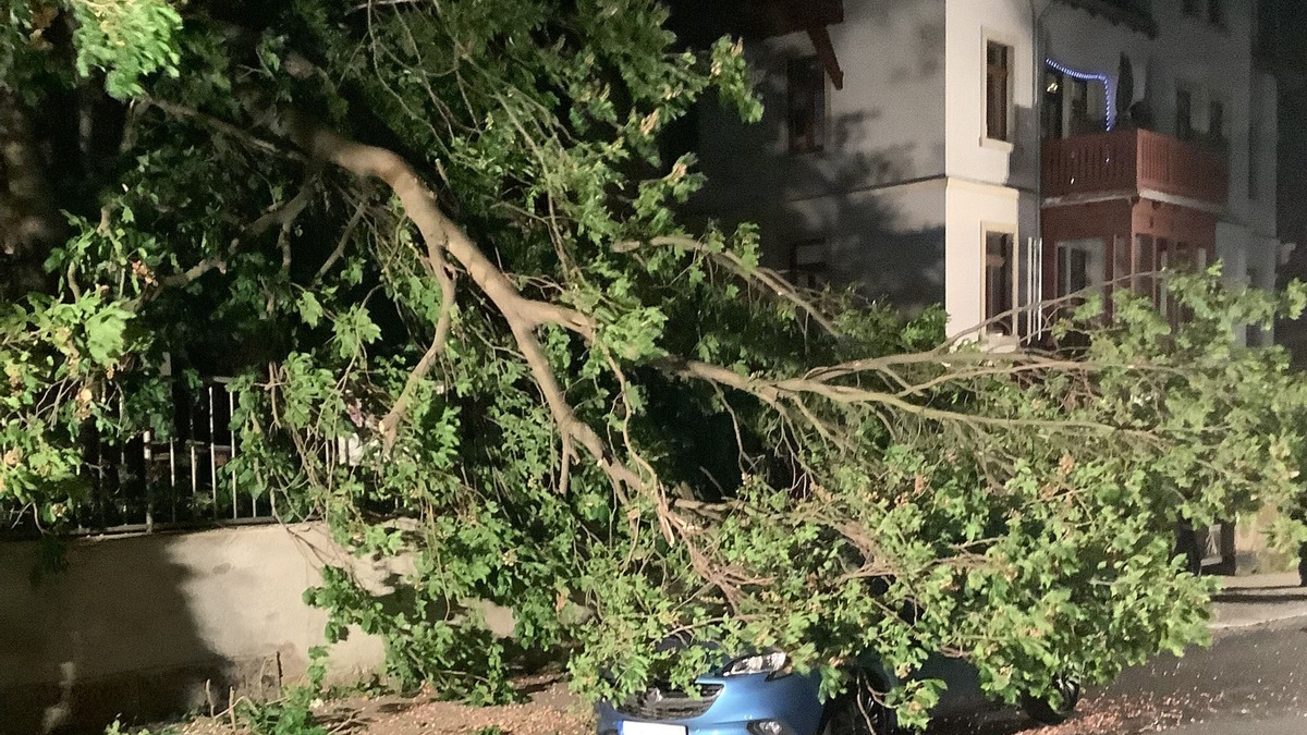 FW Dresden: Sturmereignis im Leitstellenbereich führt zu erhöhtem Anrufaufkommen am Notruf 112 - Foto: presseportal.de