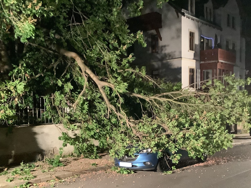 FW Dresden: Sturmereignis im Leitstellenbereich führt zu erhöhtem Anrufaufkommen am Notruf 112 - Foto: presseportal.de