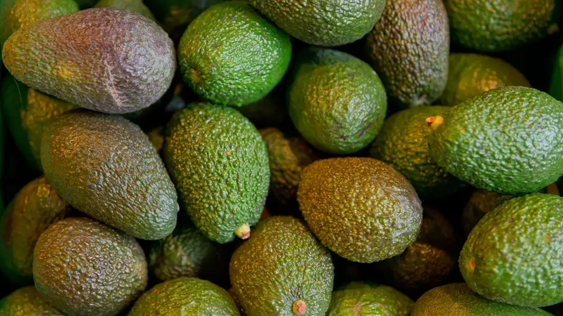 Weil die Avocado ein warmes Klima braucht, legt sie oft Tausende Kilometer zurück, bevor sie im Einkaufskorb von Verbrauchern in deutschen Supermärkten landet. - Bild: Daniel Karmann/dpa