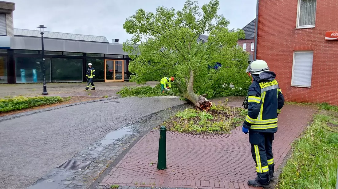 FFW Schwalmtal: Umgestürzter Baum auf Fahrbahn - Bild: presseportal.de