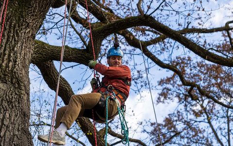 Wie viel Mut brauchst du? Drei neue Folgen Terra Xplore in der ZDFmediathek und im ZDF - Foto: presseportal.de Wie viel Mut brauchst du? Drei neue Folgen Terra Xplore in der ZDFmediathek und im ZDF - Foto: presseportal.de