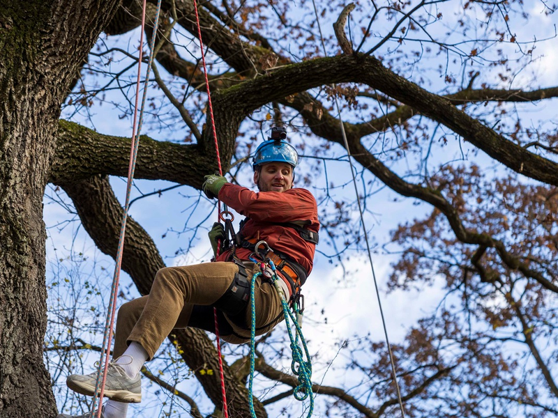 Wie viel Mut brauchst du? Drei neue Folgen Terra Xplore in der ZDFmediathek und im ZDF - Foto: presseportal.de
