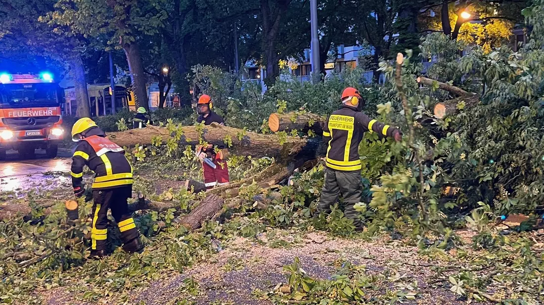 Ein Unwetter ist über Deutschland hinweggefegt; es gibt Verletzte und Schäden. - Bild: Mike Seeboth/dpa