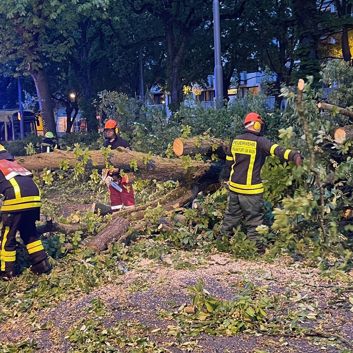 Ein Unwetter ist über Deutschland hinweggefegt; es gibt Verletzte und Schäden. - Foto: Mike Seeboth/dpa