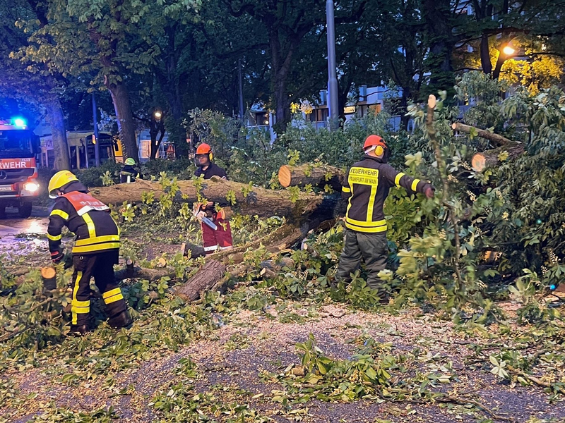 Ein Unwetter ist über Deutschland hinweggefegt; es gibt Verletzte und Schäden. - Foto: Mike Seeboth/dpa