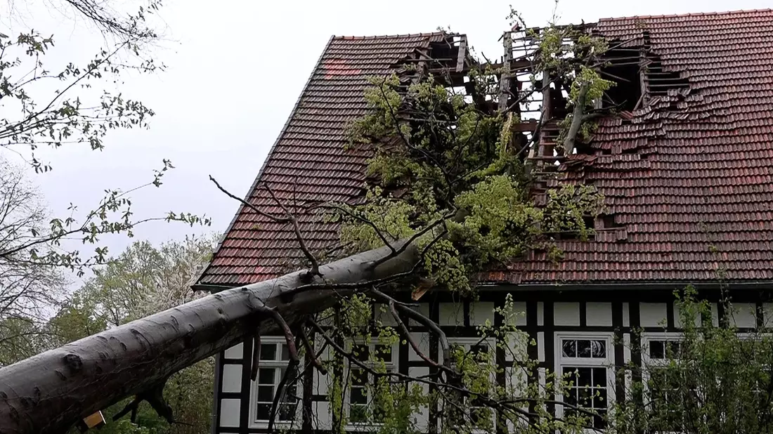 Ein Baum hat im Kreis Steinfurt (Nordrhein-Westfalen) infolge des Sturms das Dach eines Fachwerkhauses schwer beschädigt. - Bild: Michel Fritzemeier/tv7news/dpa