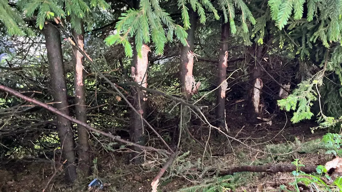 POL-GM: 28-Jähriger bei Unfall auf der K1 leicht verletzt - Bild: presseportal.de
