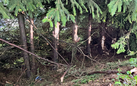 POL-GM: 28-Jähriger bei Unfall auf der K1 leicht verletzt - Foto: presseportal.de