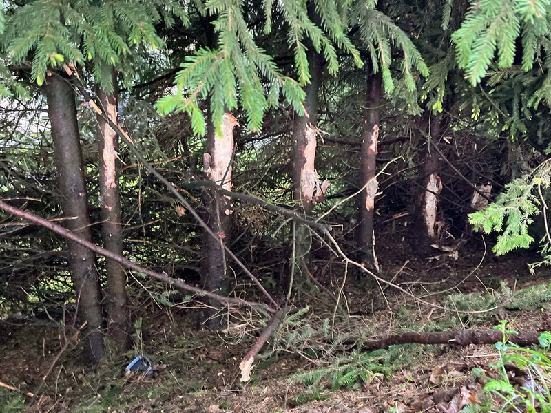 POL-GM: 28-Jähriger bei Unfall auf der K1 leicht verletzt - Foto: presseportal.de