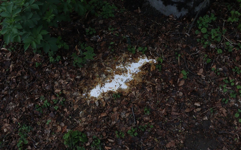 POL-MS: Verdacht auf Giftköder-Fund im Stadtteil Aaseestadt - Polizei warnt Hundebesitzer und bittet um Hinweise - Foto: presseportal.de