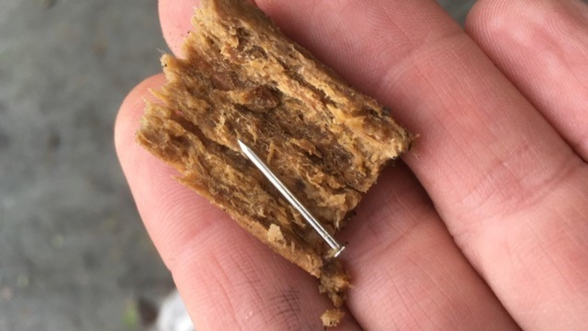 POL-DA: Darmstadt: Hundebesitzer findet gefährlichen Köder am Waldrand - Foto: presseportal.de