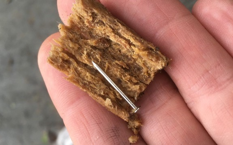 POL-DA: Darmstadt: Hundebesitzer findet gefährlichen Köder am Waldrand - Foto: presseportal.de