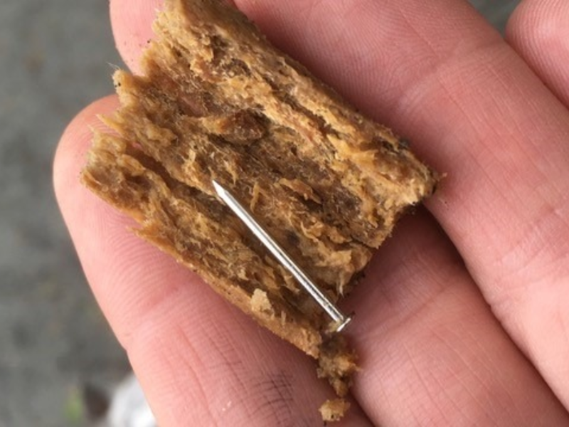 POL-DA: Darmstadt: Hundebesitzer findet gefährlichen Köder am Waldrand - Foto: presseportal.de