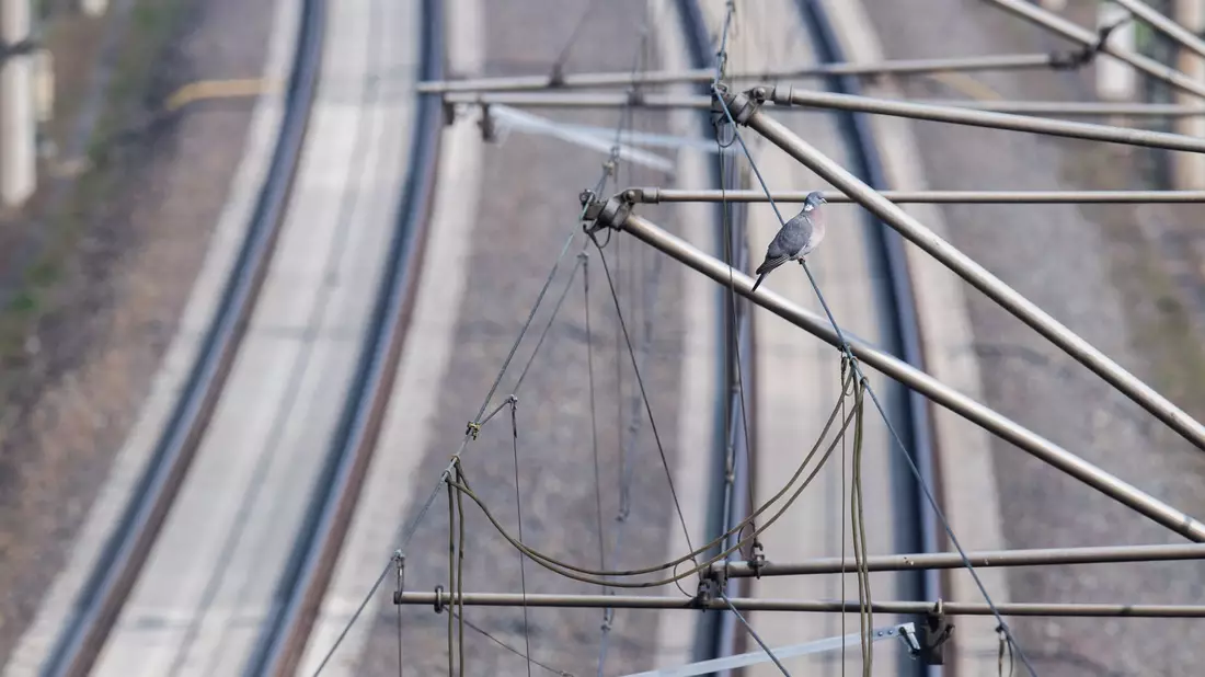 Bei der Elektrifizierung von Bahnstrecken gibt es Defizite. - Bild: Julian Stratenschulte/dpa
