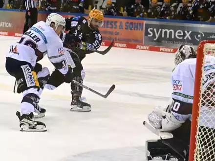 Die Eisbären machten mit einem 2:0 in Bremerhaven den zehnten Meistertitel perfekt. - Foto: Carmen Jaspersen/dpa