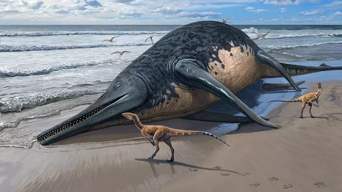 Die künstlerische Darstellung zeigt einen angeschwemmten Ichthyotitan severnensis-Kadaver am Strand. - Bild: Sergey Krasovskiy/dpa