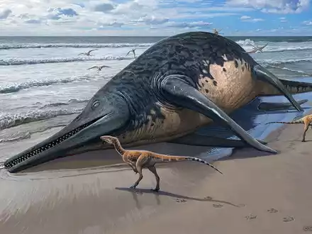 Die künstlerische Darstellung zeigt einen angeschwemmten Ichthyotitan severnensis-Kadaver am Strand. - Foto: Sergey Krasovskiy/dpa