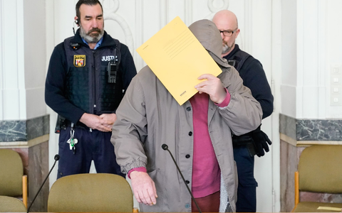 Der Angeklagte wurde zu zwölf Jahren Haft verurteilt. - Foto: Uwe Anspach/dpa