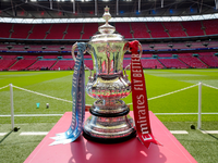 Im FA-Cup soll es künftig weniger Spiele geben. - Foto: Jon Super/AP/dpa/Archiv