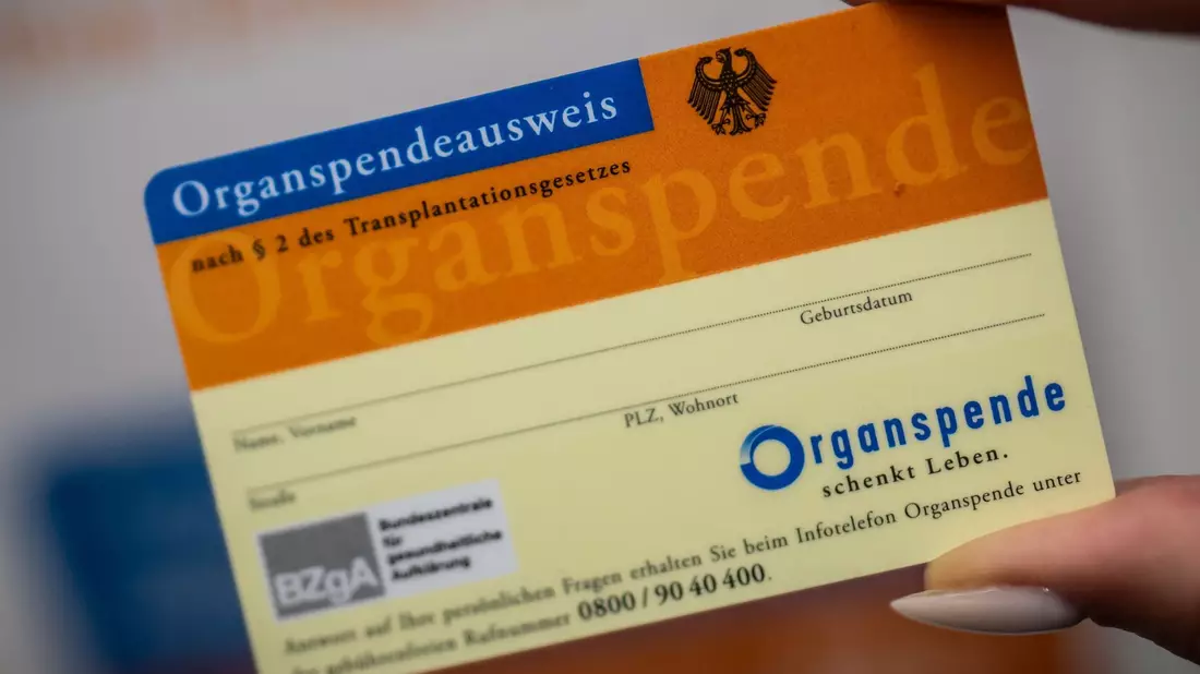 Der Organspendeausweis kann verloren gehen - nun gibt es eine Datenbank im Internet. - Bild: Michael Kappeler/dpa