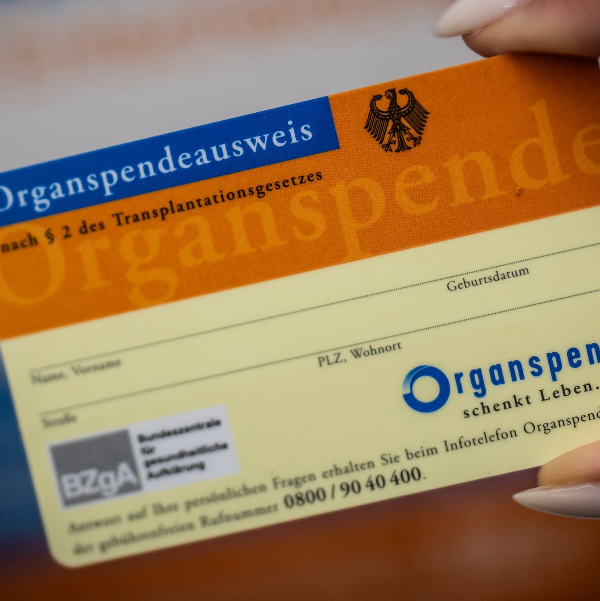 Ein Organspende-Ausweis dokumentiert die Entscheidung. (Archivbild) - Foto: Michael Kappeler/dpa