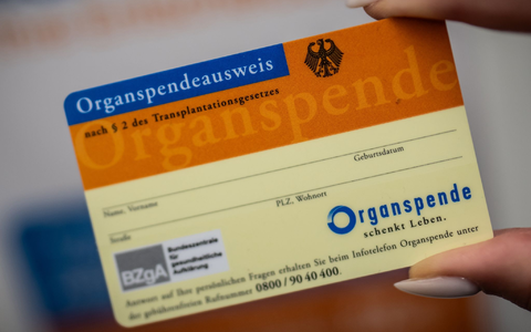 Der Organspendeausweis kann verloren gehen - nun gibt es eine Datenbank im Internet. - Foto: Michael Kappeler/dpa