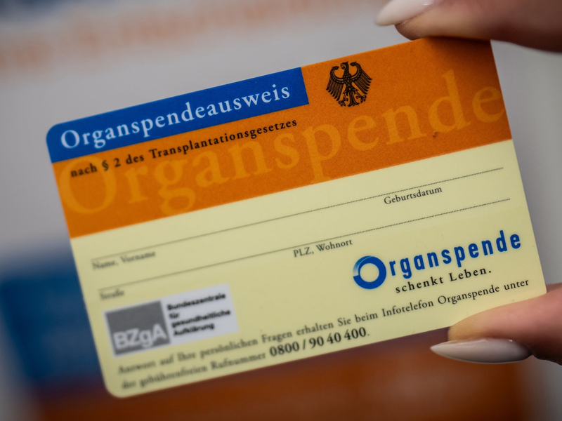 Der Organspendeausweis kann verloren gehen - nun gibt es eine Datenbank im Internet. - Foto: Michael Kappeler/dpa