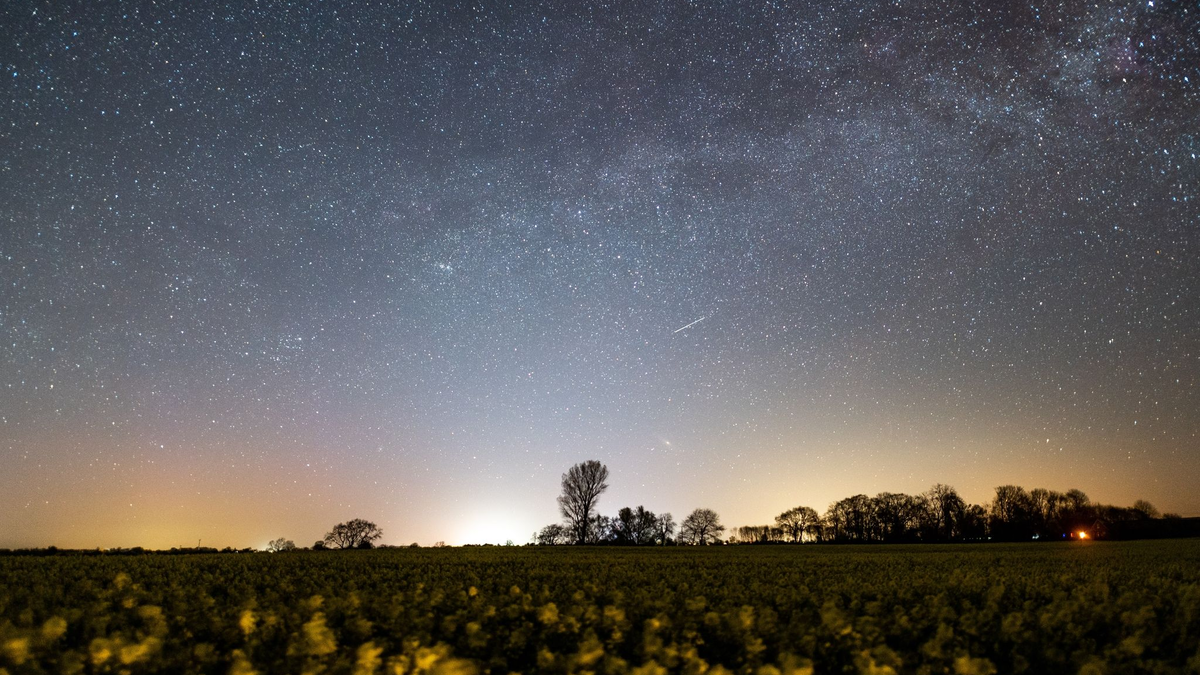 Der Sternenhimmel leuchtet über einem Rapsfeld in Schleswig-Holstein (Archivbild). - Foto: Daniel Reinhardt/dpa