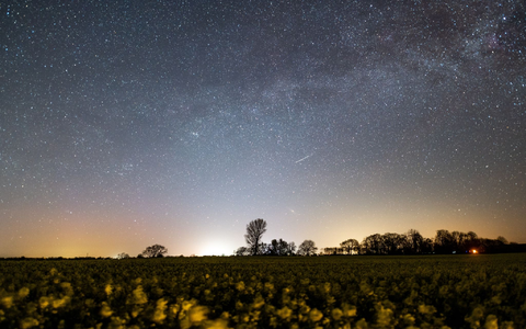 Der Sternenhimmel leuchtet über einem Rapsfeld in Schleswig-Holstein (Archivbild). - Foto: Daniel Reinhardt/dpa