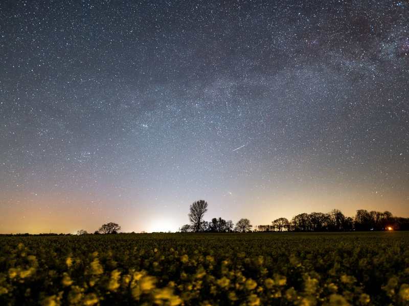 Der Sternenhimmel leuchtet über einem Rapsfeld in Schleswig-Holstein (Archivbild). - Foto: Daniel Reinhardt/dpa