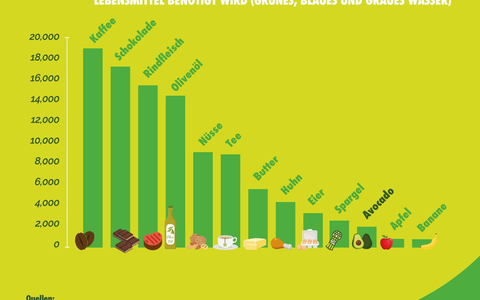 Pressestatement der World Avocado Organization zur dpa Meldung Umstrittene Superfrucht - Avocado-Boom in Deutschland - Foto: presseportal.de